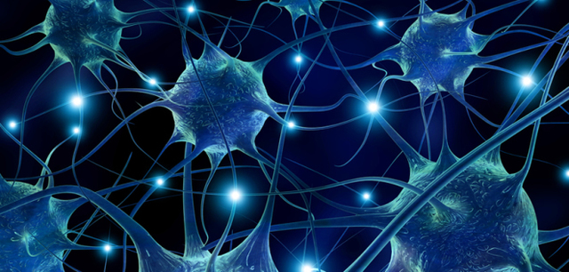 Iván Pávlov ¨Actividad nerviosa superior¨