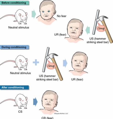 J. Watson - Fundador del conductismo. Experimento del pequeño Albert. Publicación destacada: Watson, J. B. (1913). Psychology as the behaviorist views it. Psychological Review, 20, 158-177.