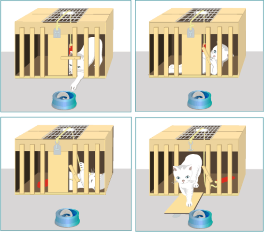 Edward Thorndike ¨Ley de sin lectura¨