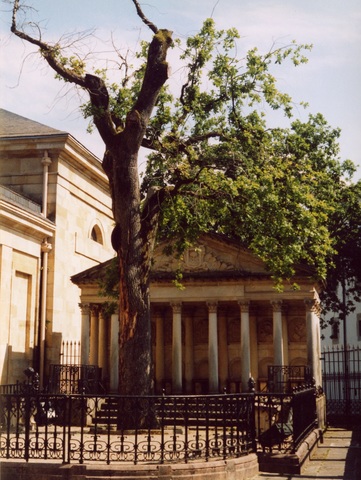 Proyecto de Régimen Preautonómico para el País Vasco