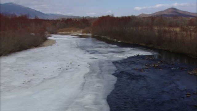 I Germani attraversano il Reno