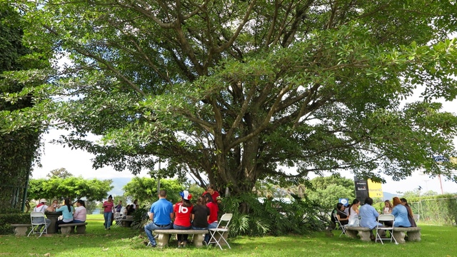 Creación del Campus Tribu