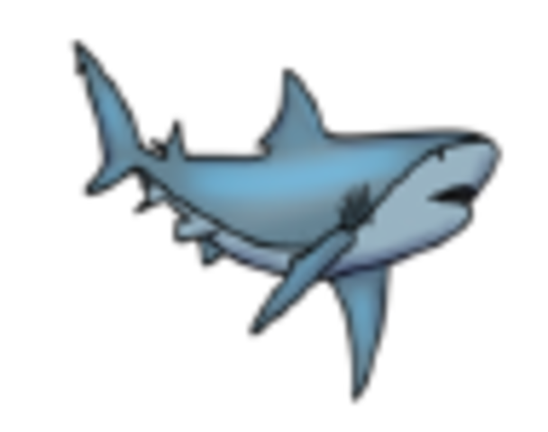 second event - 2-3 words