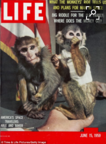 Able and Miss Baker survive their flight into space