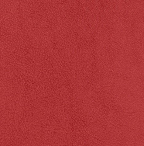 Declaration of Independence