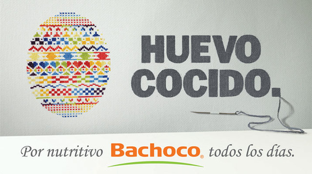 Bachoco
