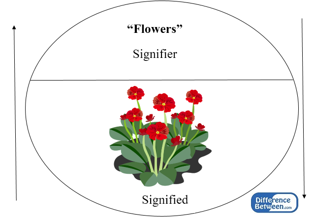A 20. század első fele: Strukturalista nyelvészet
