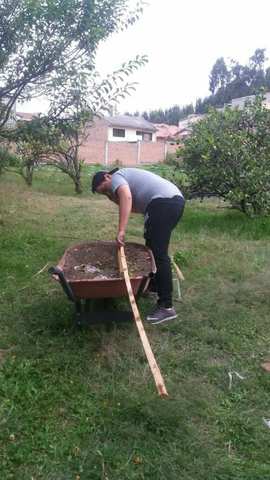 Corte de madera para la construccion de la estructura
