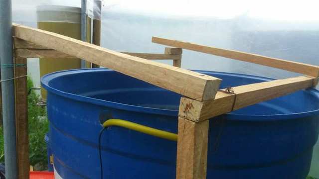 Se contruye la estructura