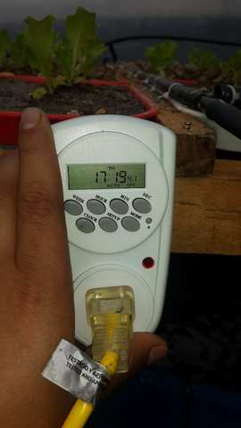 Programacion del riego