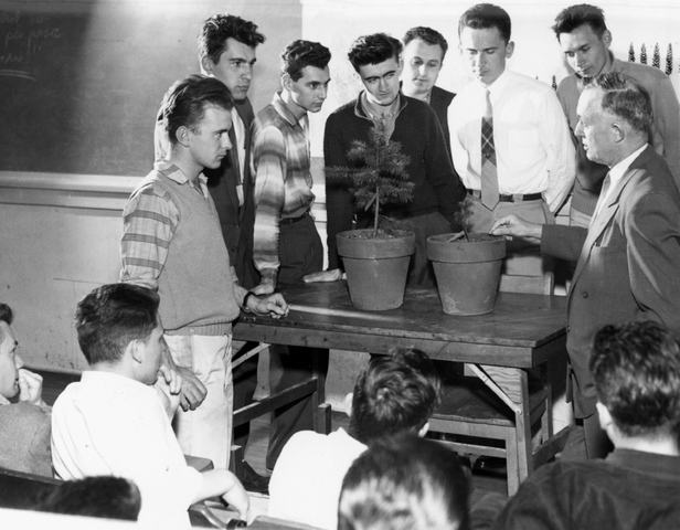 Sopron School of Forestry