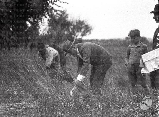 La politica agraria viene contrassegnata da due iniziative chiamate: campagne e battaglie
