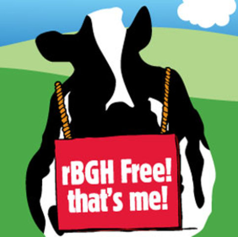 Artificial Growth Hormone? Not in Our Ice Cream!