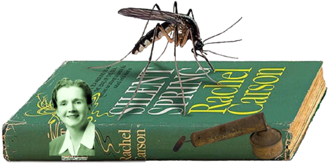 la primavera silenciosa