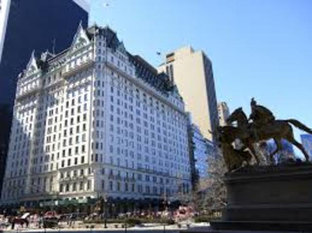 New York Bank of America Collapses