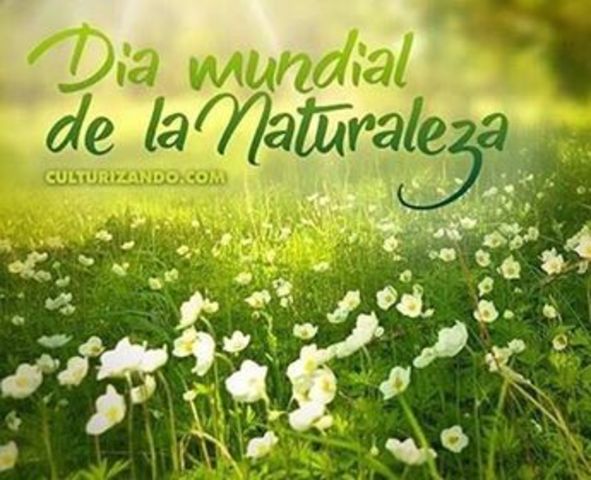 Día Mundial de la Naturaleza