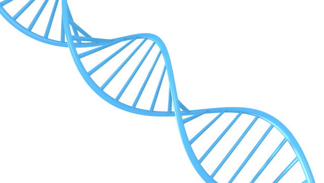 The description of a double helix DNA molecule is published