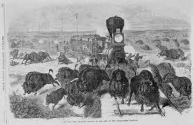 Killing of the Buffalo