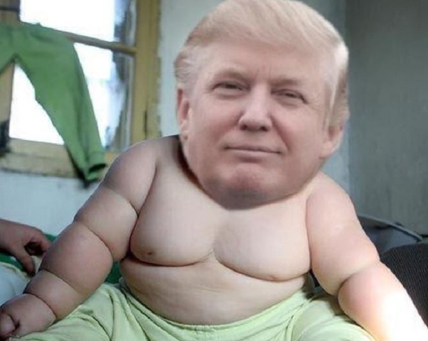 Donald Trump was born