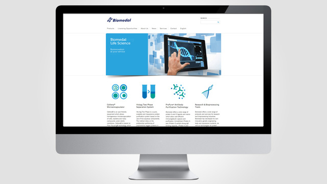 Se asienta el concepto de Portal