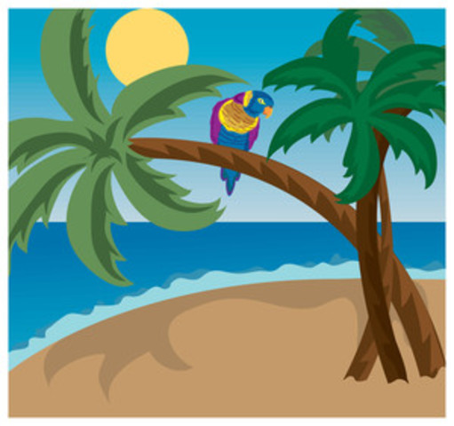 3rd grade tropical classroom