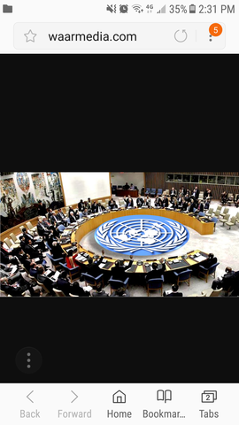 UN Security Council (Sieara)
