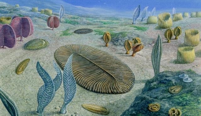 Proterozoico (2500 M.a - 570 M.a)