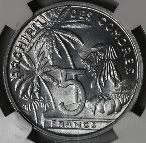 French Protectorates