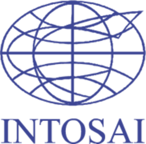 Surge la INTOSAI