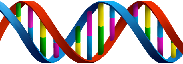 DNA Profiling