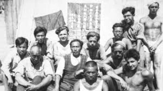 how did the Chinese survive?