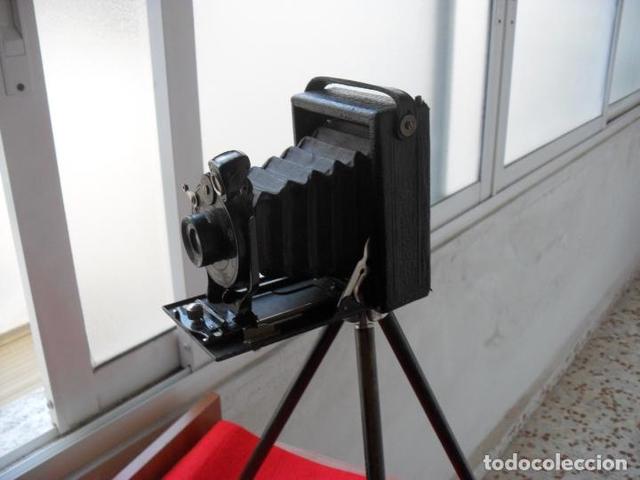 Sistema negativo-positivo