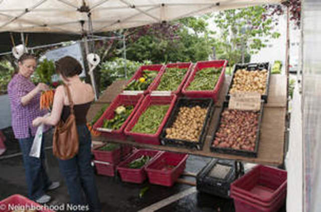 Economics: People Who Supply Goods and Services