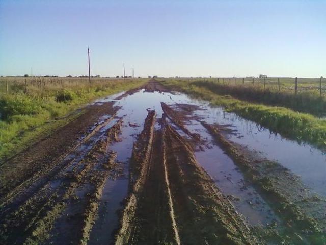 Jornadas informativas en Senado: Caminos rurales, fitosanitarios, agricultura familiar, plagas