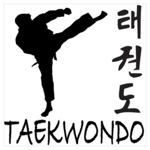SIGNIFICADO DE  TAEKWONDO