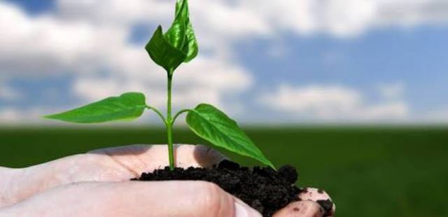 Concepto de desarrollo sustentable