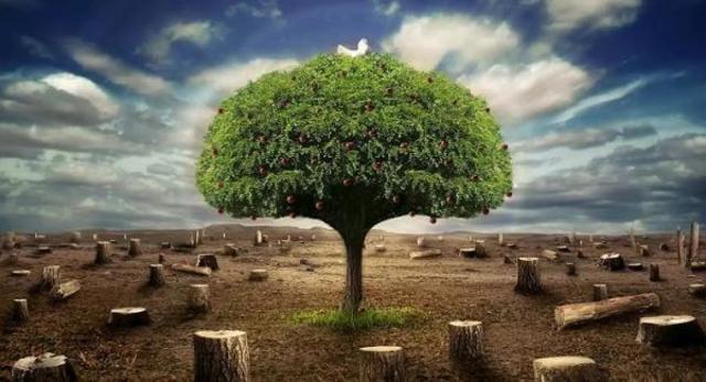 Antes de que sea tarde (video)