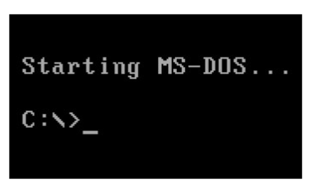 MS DOS