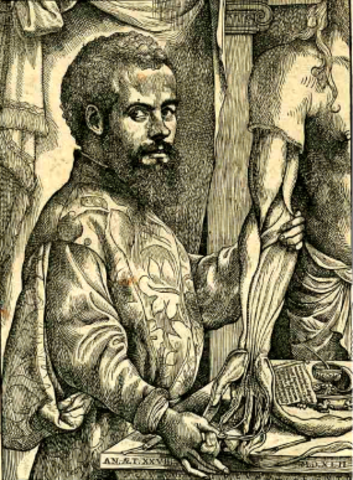 Andres Vesalio