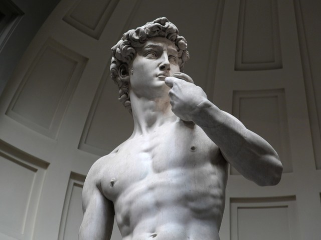 Michelangelo sculpted David