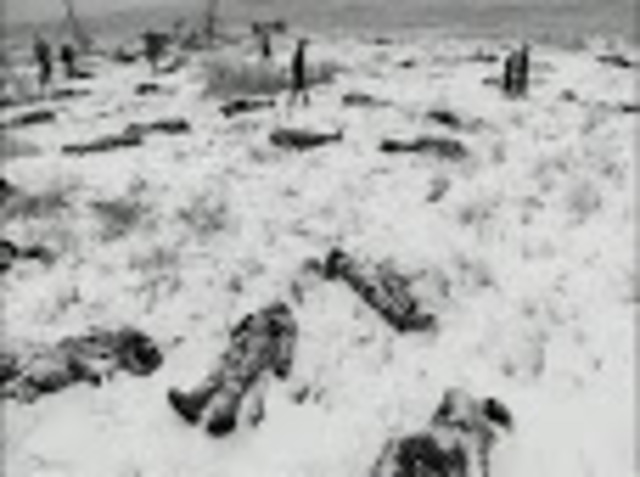 Wounded Knee Massacre