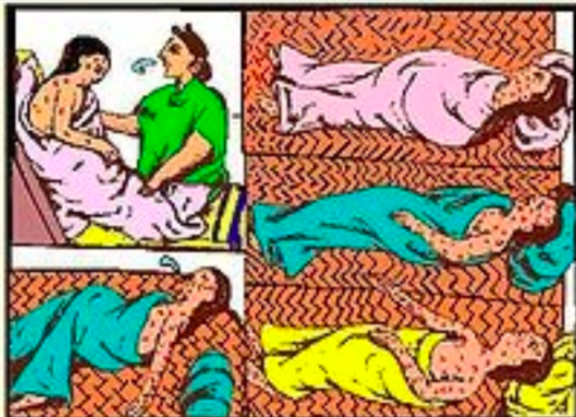 Primera gran epidemia, la viruela.