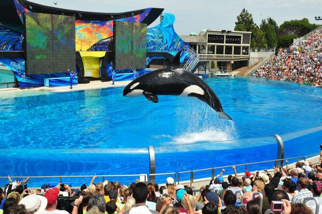 Sea World