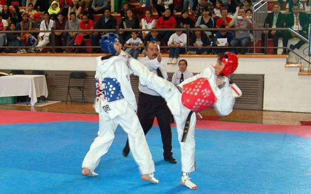 SE CREA EL  ESTILO TAEKYON