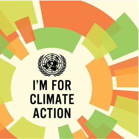 World Commission on Environment and Development