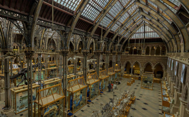 Primer museo universitario