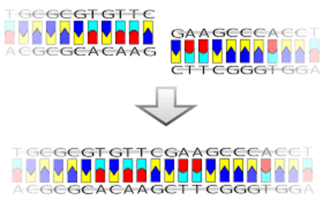 Fármaco basado en ADN recombinante