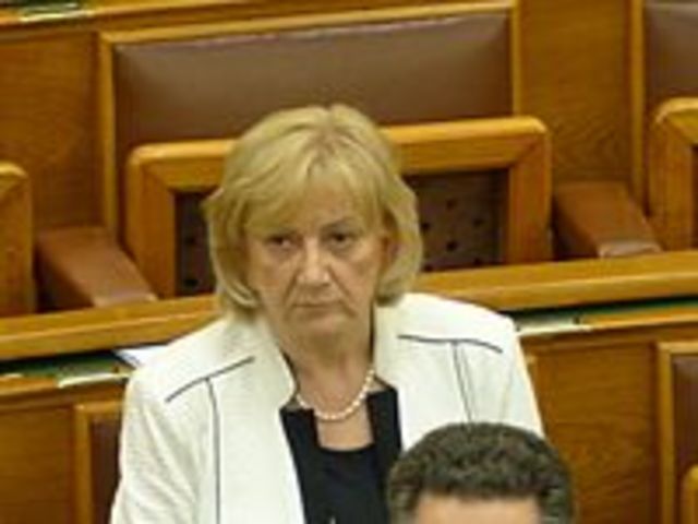 2016 Frakció vezető