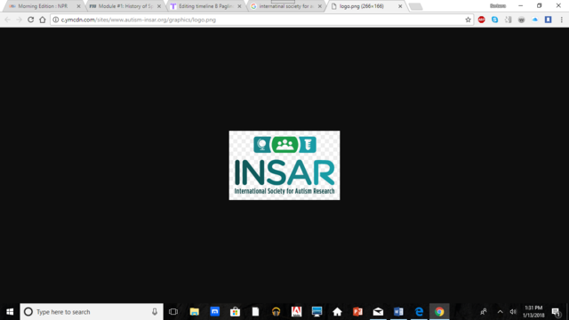 INSAR: International Society for Autism Research