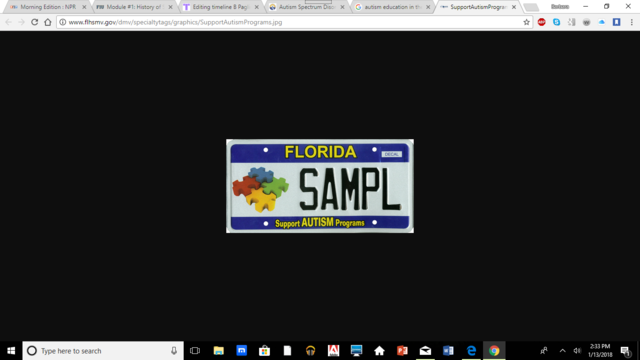 Autism Education in the State of Florida